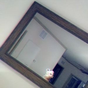 Meet your Posher, Eliany